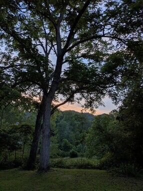Appalachia Born Jewelry - Handmade By Amaryllis Wire